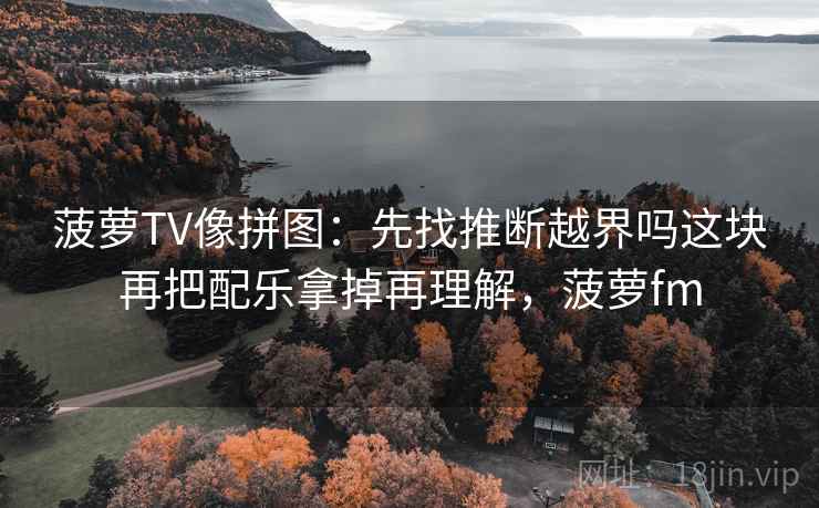菠萝TV像拼图：先找推断越界吗这块再把配乐拿掉再理解，菠萝fm