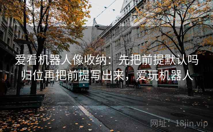 爱看机器人像收纳：先把前提默认吗归位再把前提写出来，爱玩机器人